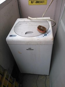 洗濯機処分　千葉県　松戸市　常盤平　洗濯機回収　不用品回収　不用品処分　不要品回収　不要品処分　廃品回収　単身引越し　単身引っ越し　リサイクル引越し