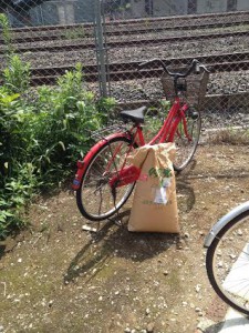 自転車　千葉県　柏市　南柏