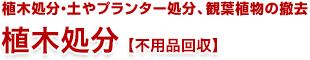  植木処分・プランター処分、観葉植物の撤去 植木処分【不用品回収】