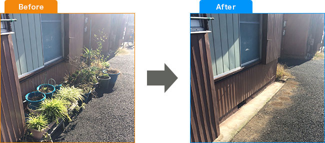 庭植木処分・観葉植物処分・土・プランター処分 Before,After 3