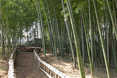 東久留米市イメージ2