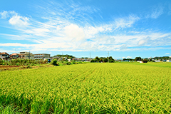 横浜市青葉区イメージ1