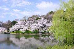 横浜市鶴見区イメージ2